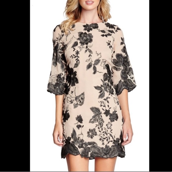 Dress the Population Dresses & Skirts - Dress the Population Stunning Nude Lace Dress